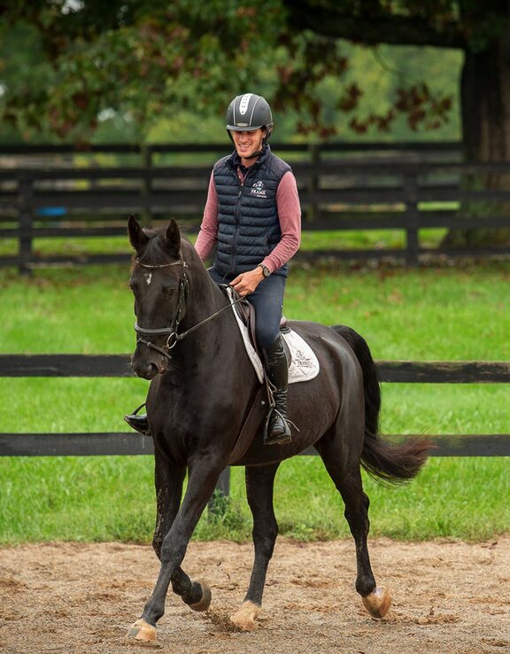 horse trotting with rider in ring