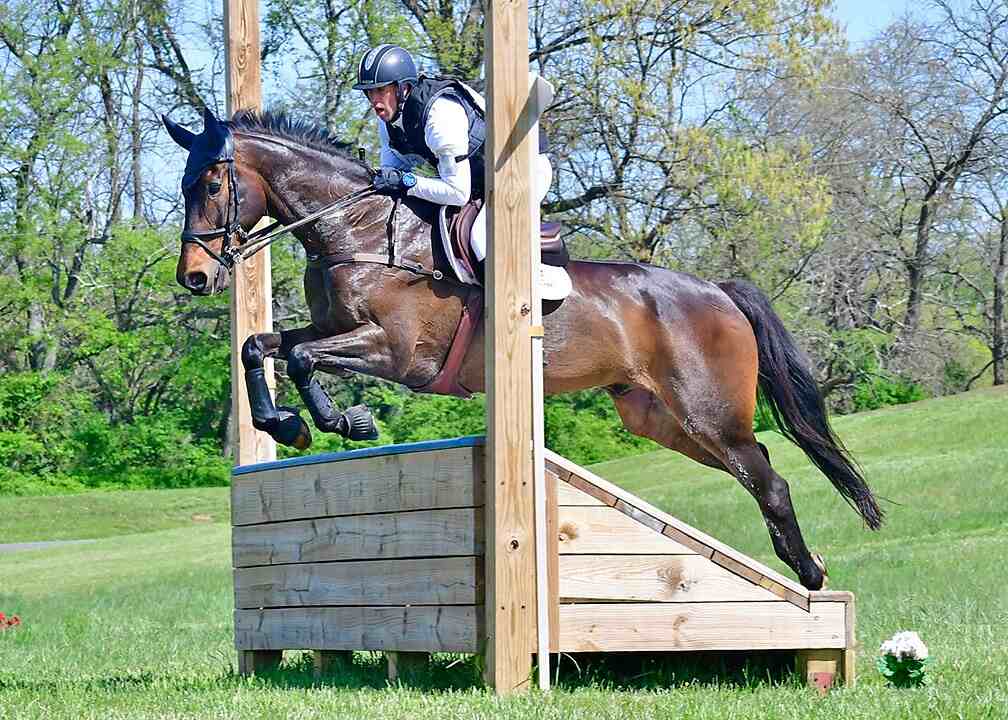 cross country horse jumping ramp