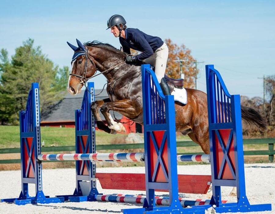 Horse jumping blue oxer
