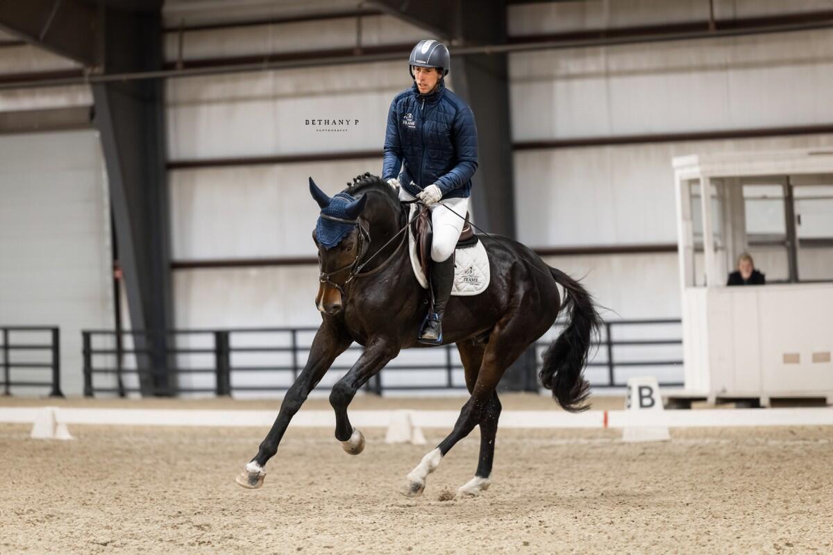 horse cantering in indoor