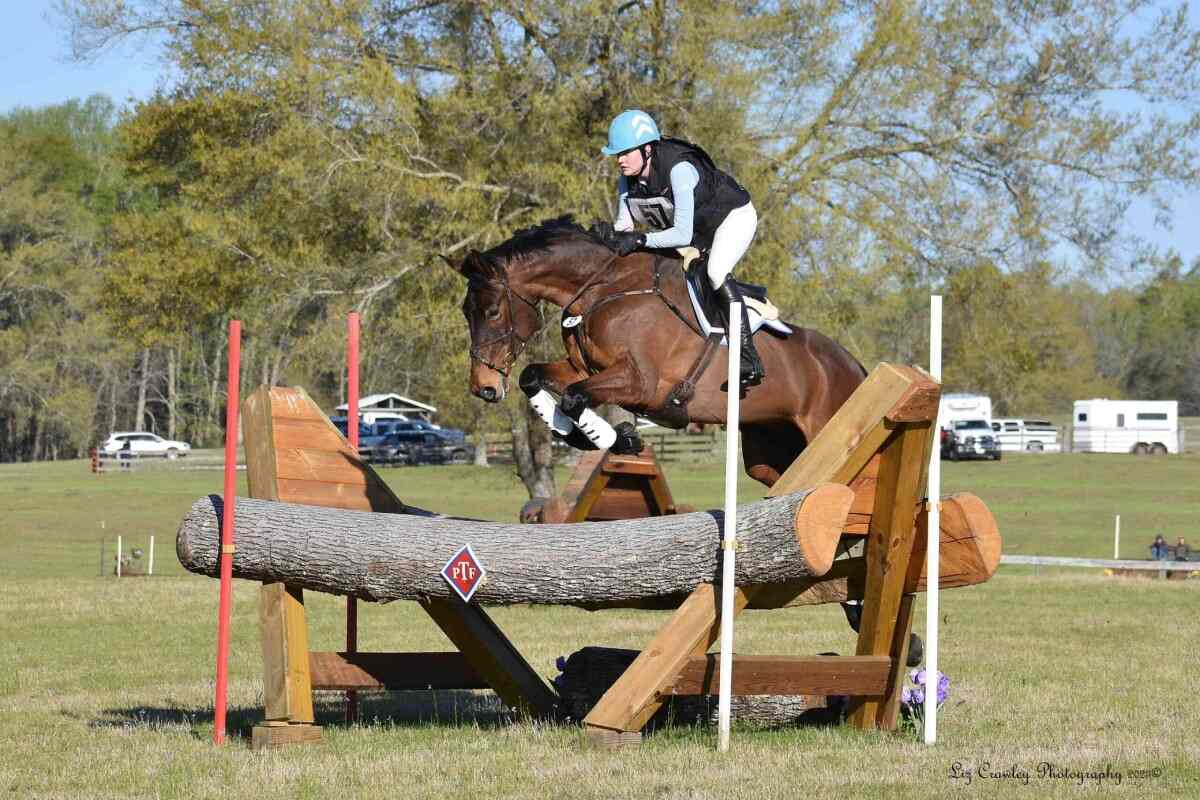 horse jumping log oxer