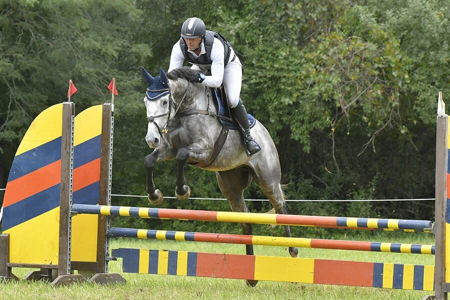 horse jumping bright oxer on grass