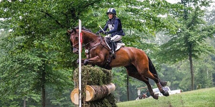 cross country horse and rider jumping brush